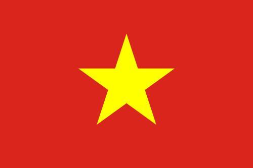 Vietnam's flag